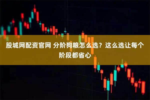 股城网配资官网 分阶狗粮怎么选？这么选让每个阶段都省心