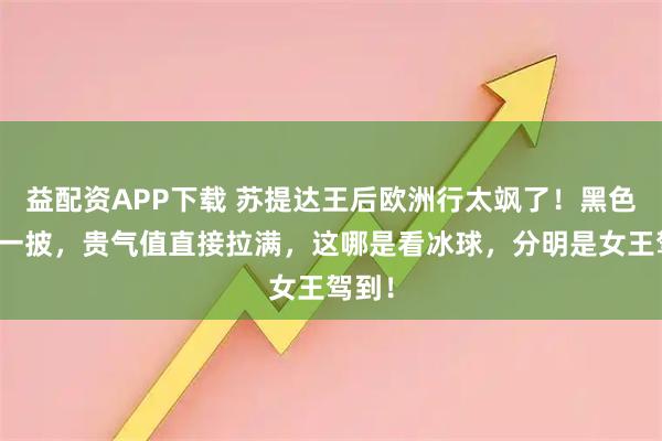 益配资APP下载 苏提达王后欧洲行太飒了！黑色皮草一披，贵气值直接拉满，这哪是看冰球，分明是女王驾到！